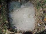 image of grave number 946989